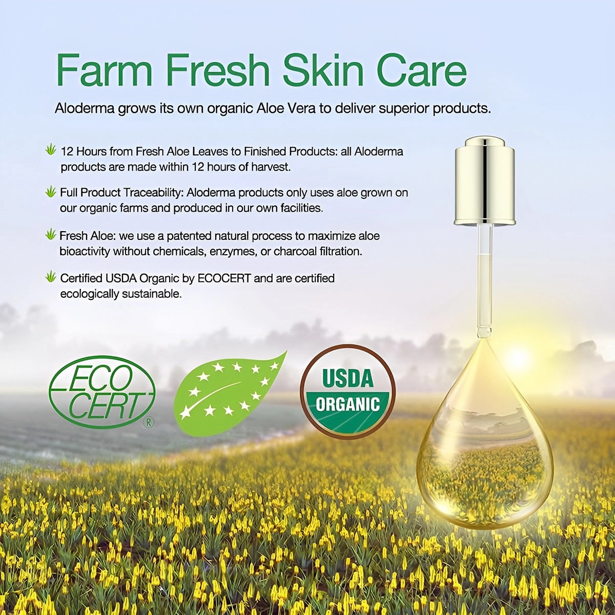 ALODERMA Aloe Peptide Revitalizing Eye Serum,25ml