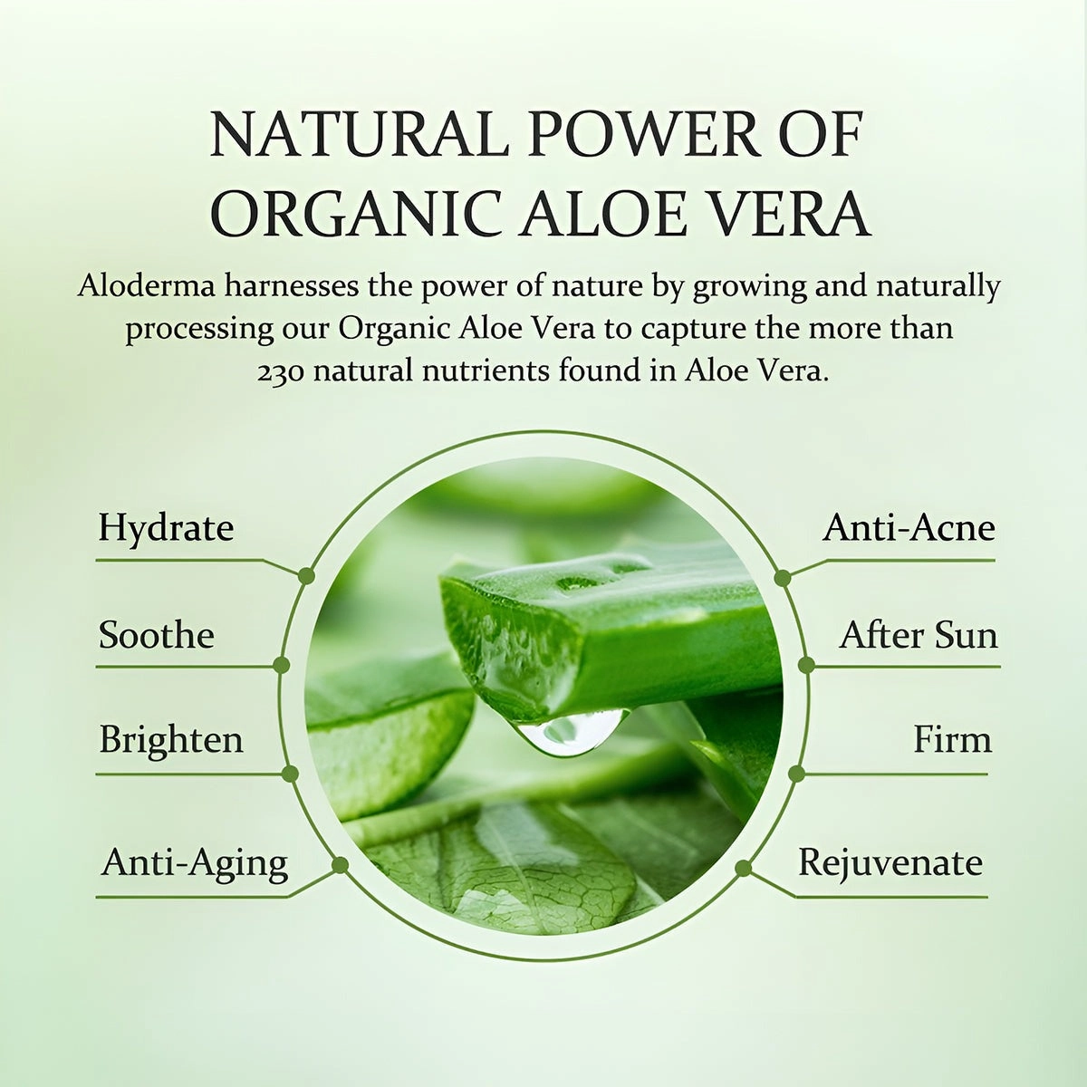 ALODERMA Aloe Peptide Revitalizing Eye Serum,25ml
