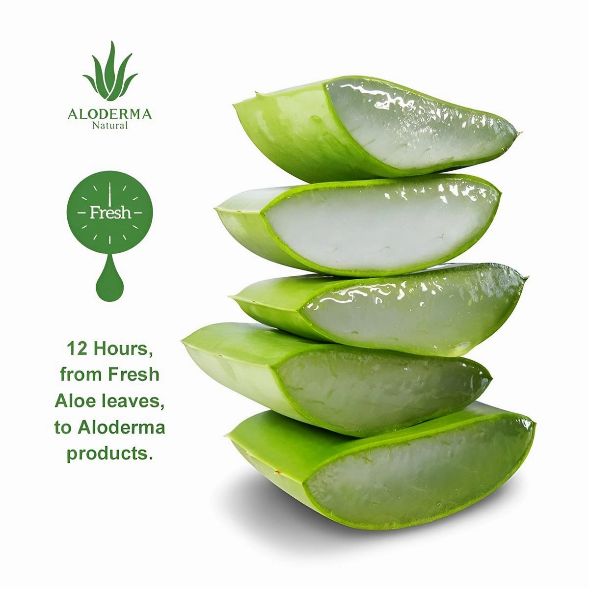 ALODERMA Aloe Peptide Revitalizing Eye Serum,25ml