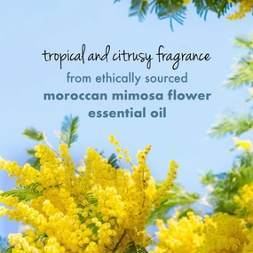 BK Refreshing Body Wash 200 ml,with Natural Coconut Water & Mimosa Flower, Hydrating, Sulfate Free, Paraben Free-Liquid Shower Gel