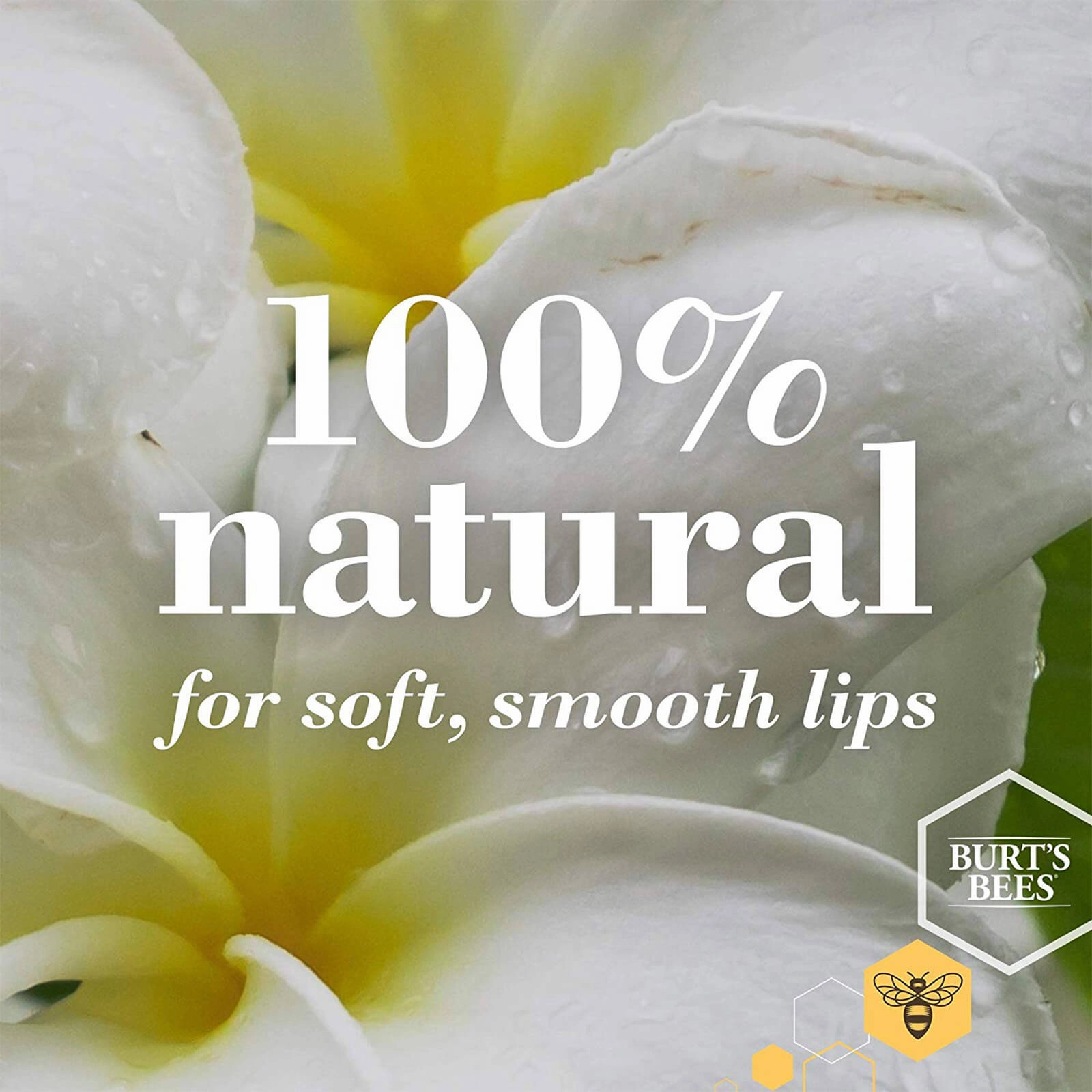 Burts Bees Watermelon Lip Balm 4.25g