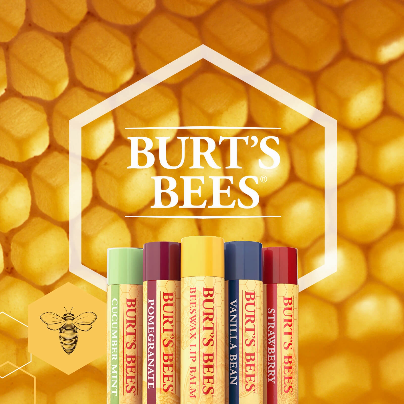 Burts Bees Watermelon Lip Balm 4.25g