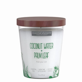 Coconut Water & Palm Leaf 9oz Jar Candle