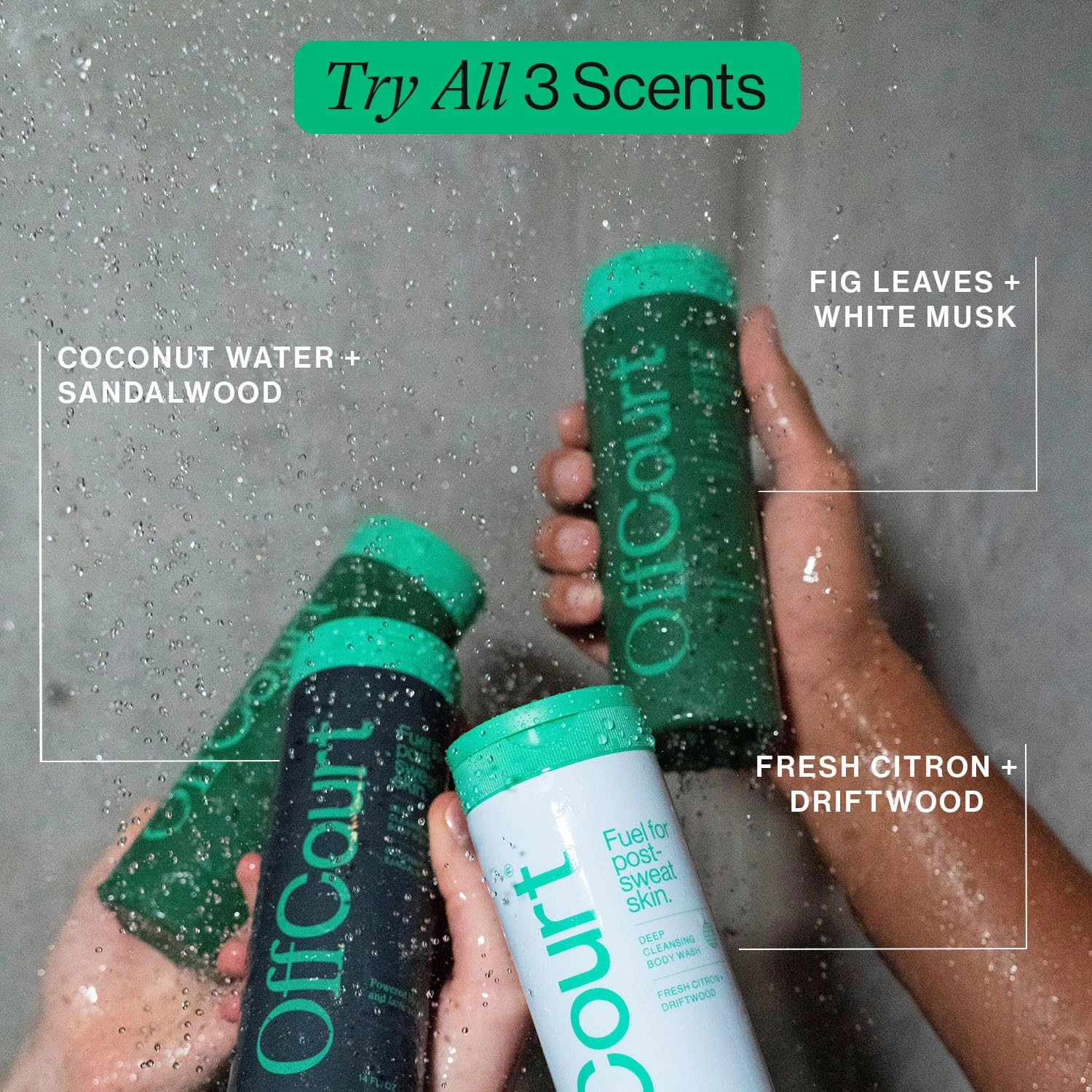 OffCourt Sulfate-Free Body Wash for Men & Women - Non-Drying Exfoliator with Glycolic & Lactic Acids Leaves Skin Fresh & Smooth with Coconut Water and Sandalwood Scent, 14 Fl. Oz (Pack of 1)