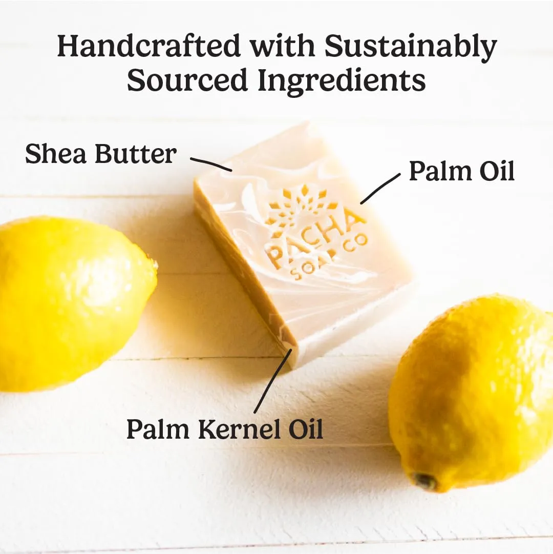 Pacha Coconut Lemon Bar Soap 3 Pack | Premium, Handcrafted, Hydrating | Natural Face Wash, Hand Cleanser, Body Wash | Soothing Essential Oils, 4 oz