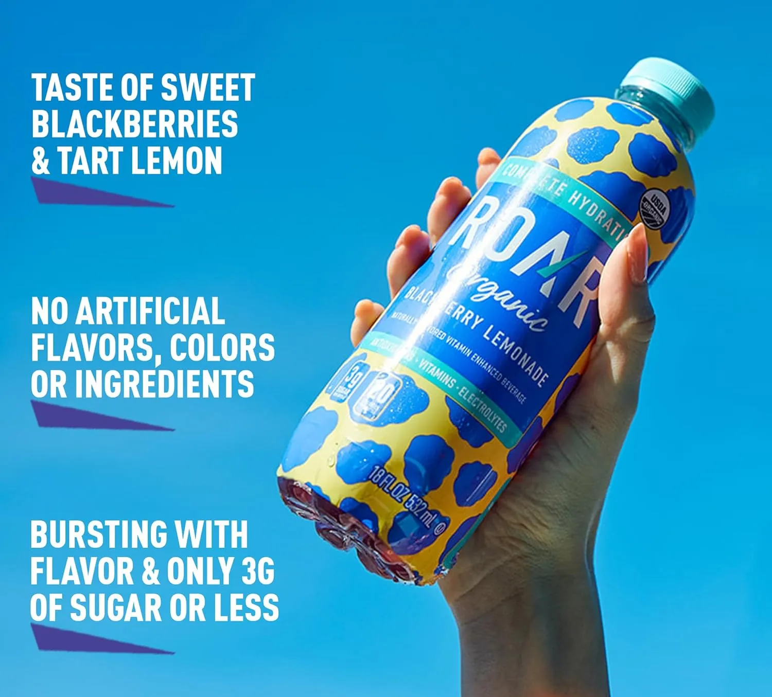 ROAR Complete Hydration Organic - Electrolyte Drinks Loaded with Vitamins C, B5, B12 - Non-GMO, Gluten-Free - Blackberry Lemonade - 12 pc