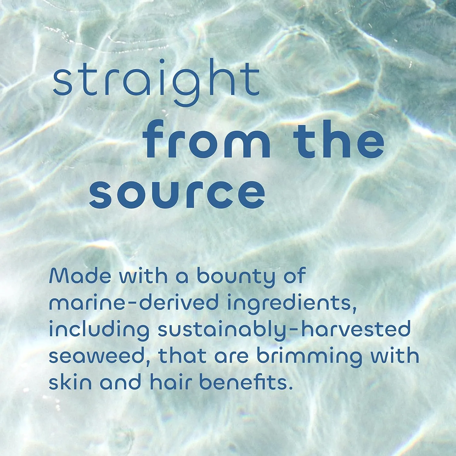Seaweed Bath Co. Ultra-Hydrating Hand Rescue Hand Cream, Coconut Water Scent, 2 Ounce, Sustainably Harvested Seaweed, Sea Kelp, Arnica