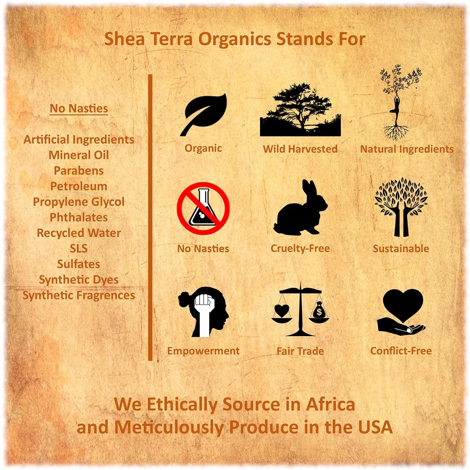 Shea Terra Organics Argan Oil & Acacia Honey Facial Wash Cleanser - Anti Aging, Breakout & Wrinkle Reducing Face Wash for Clear & Reduced Pores - With Organic & Natural Ingredients - 4 oz