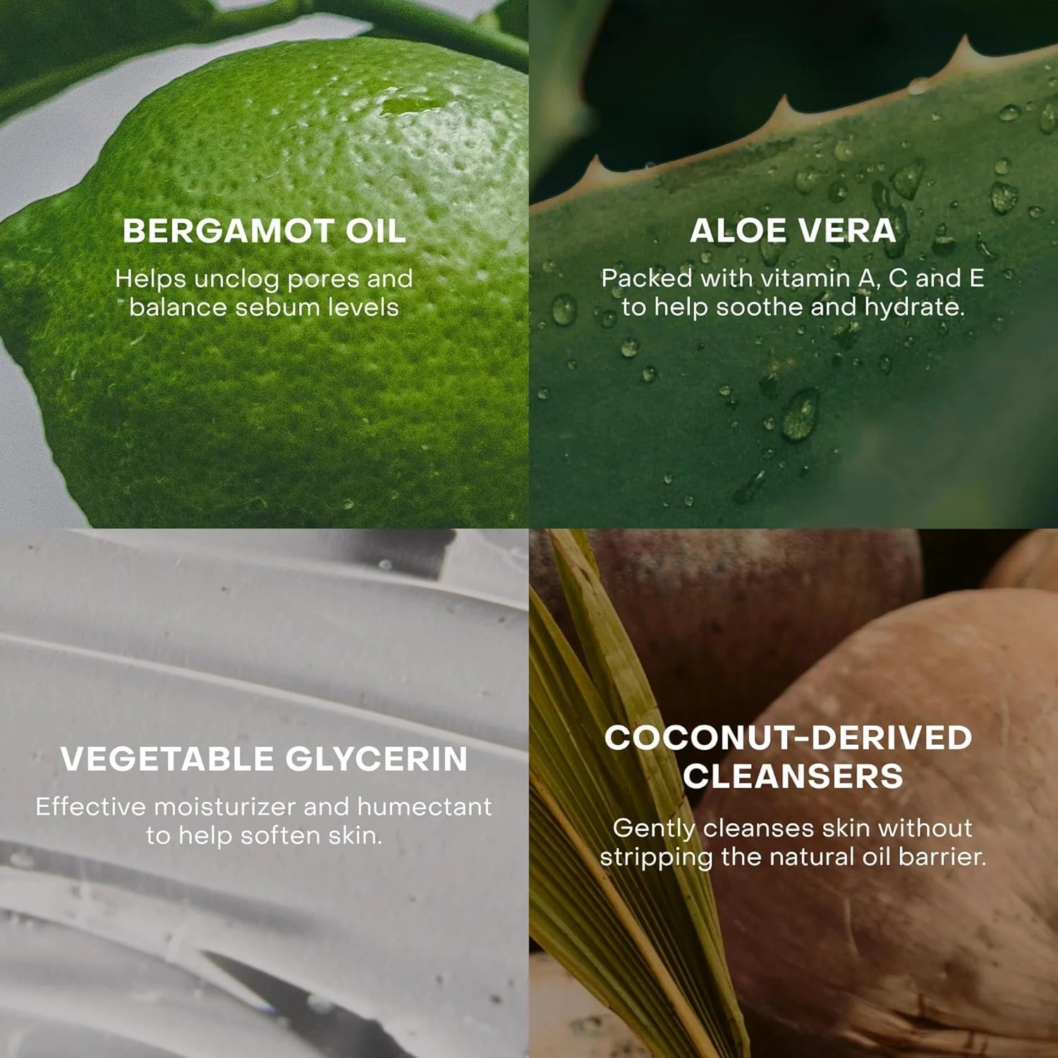 The Body Wash Concentrate, Hydrating and Skin Soothing, Plant-Based, Vegan, Aloe Vera, Skincare Ingredients, 3.4 fl oz